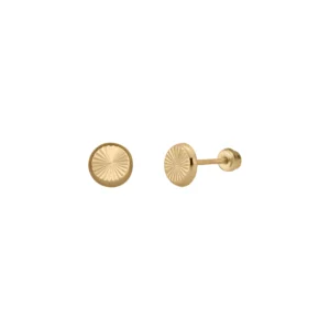 MODELO 081-D