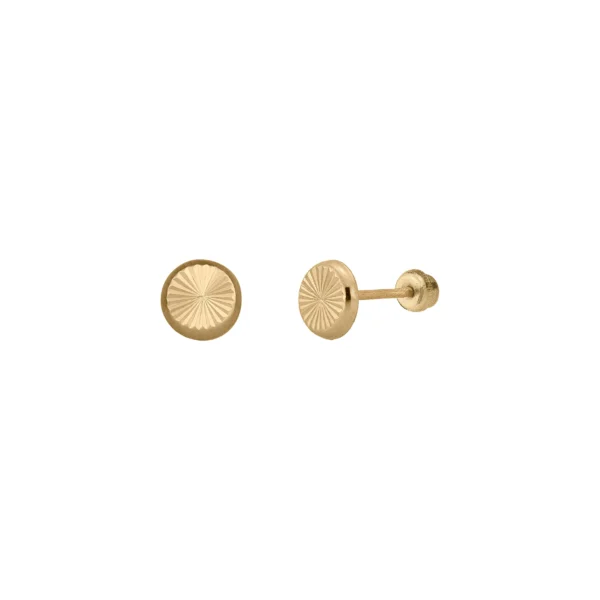 MODELO 081-D