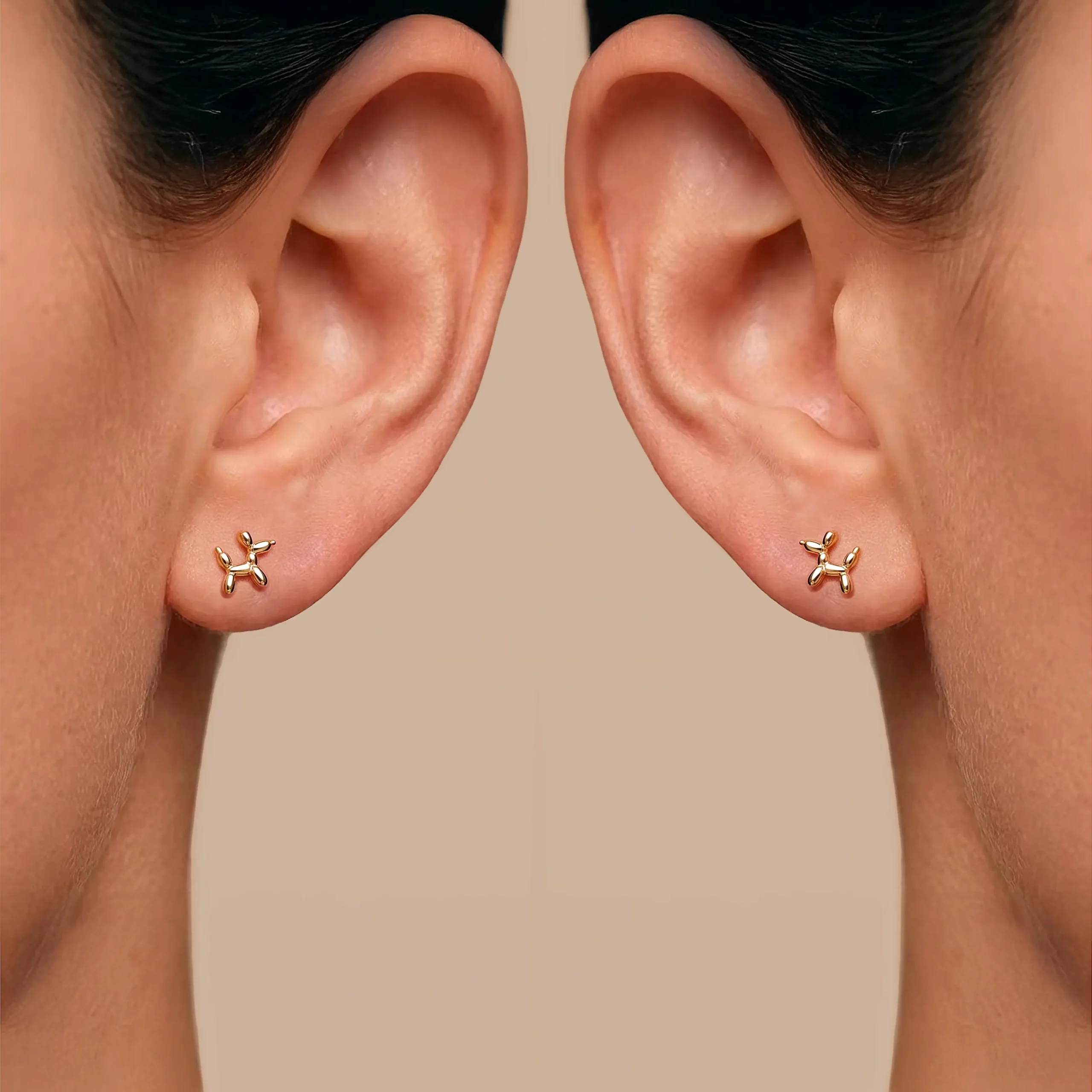 MODELO 110 - Imagen 4