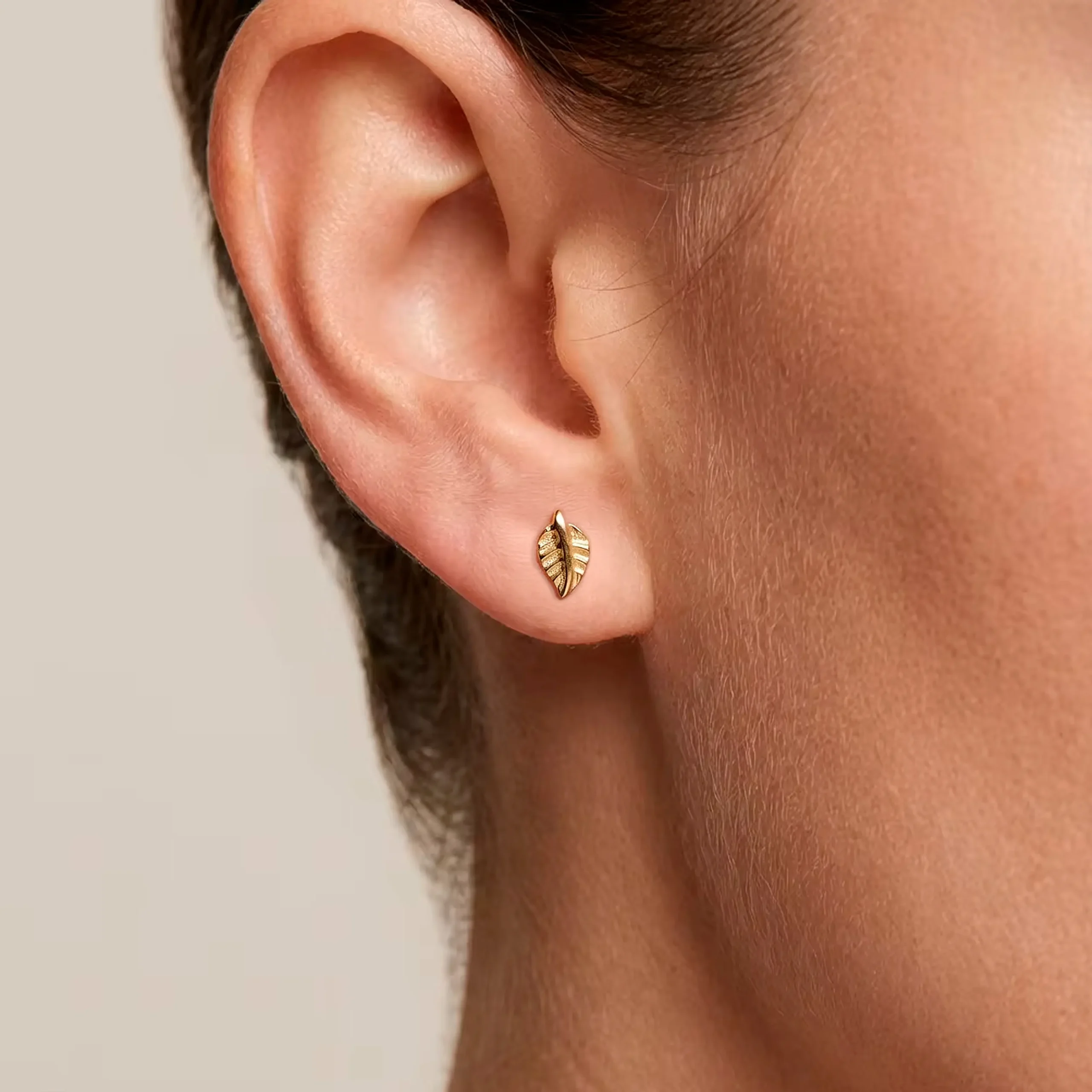 MODELO 114 - Imagen 4