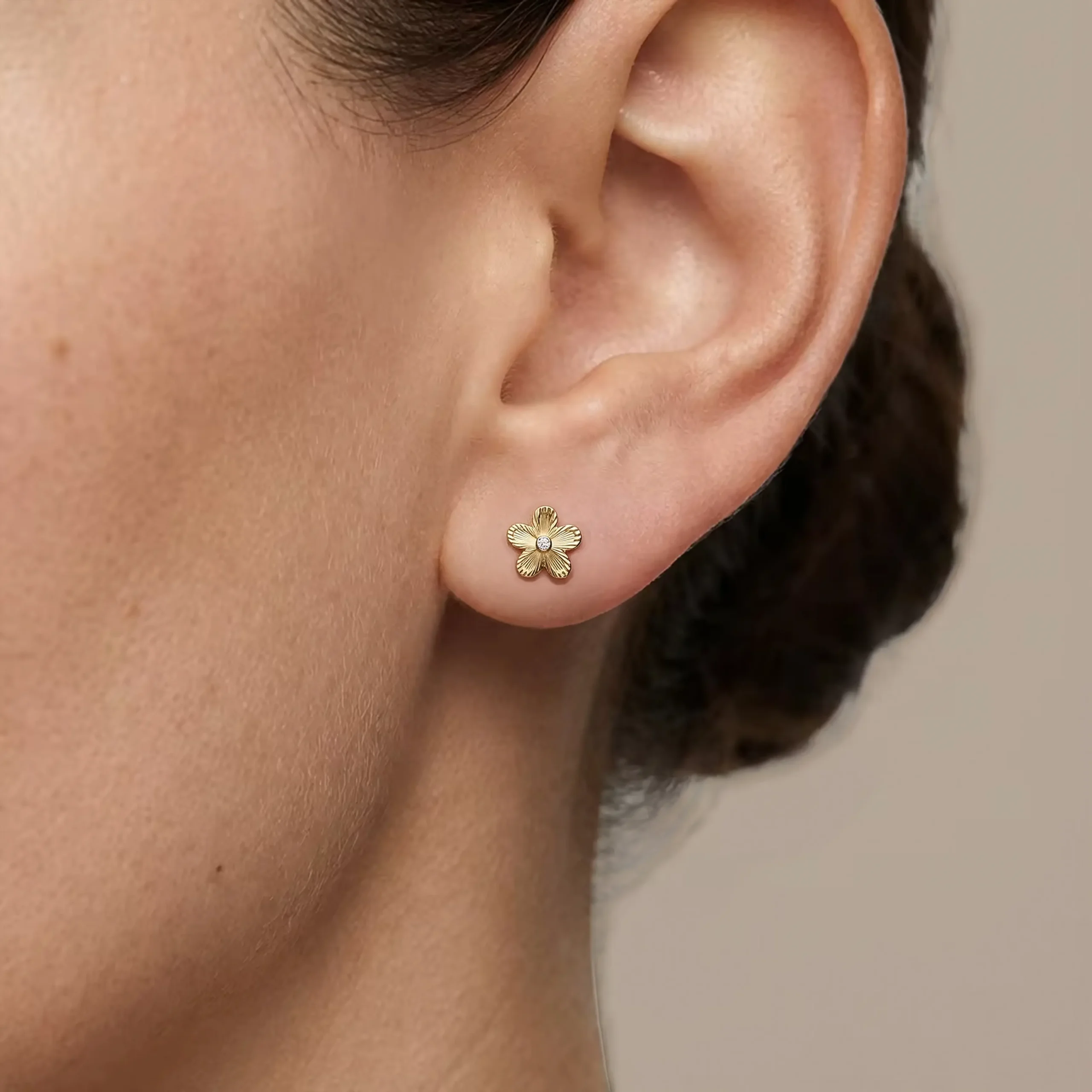 MODELO 115 - Imagen 4