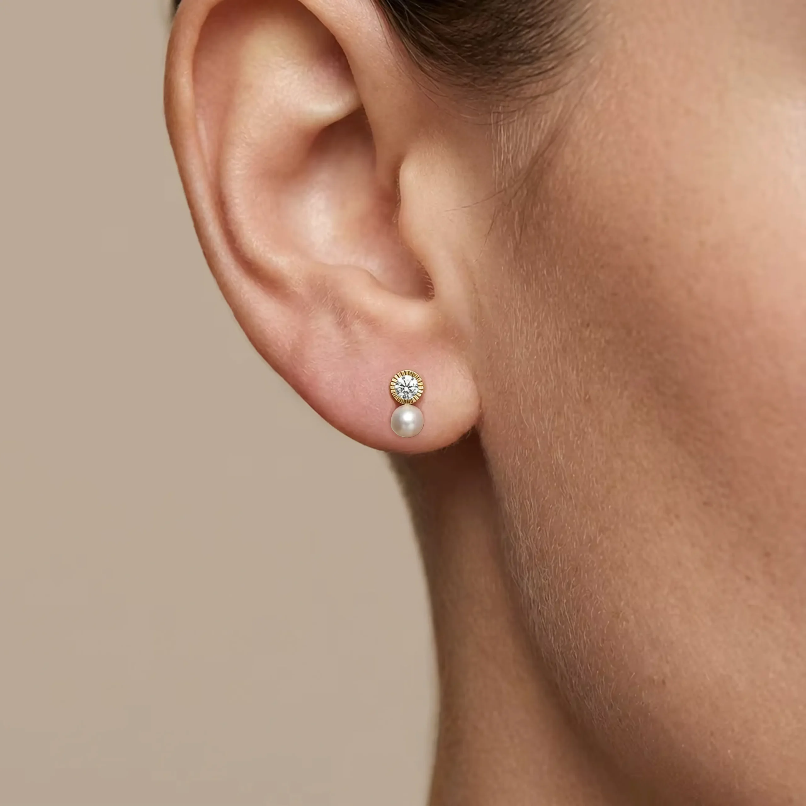 MODELO 120 - Imagen 4